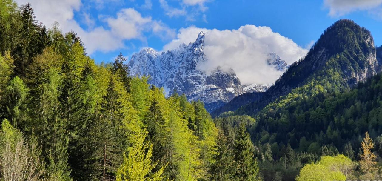 Apartment Alpska Astra Kranjska Gora Eksteriør billede