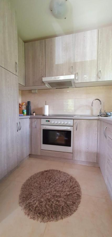 Apartment Alpska Astra Kranjska Gora Eksteriør billede