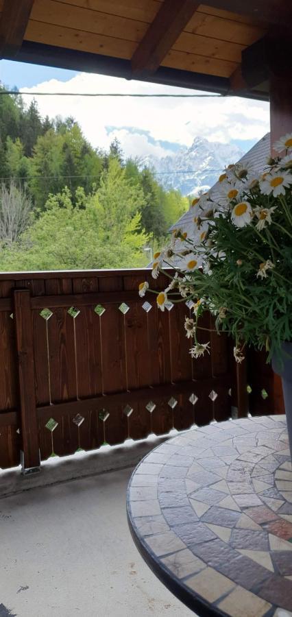 Apartment Alpska Astra Kranjska Gora Eksteriør billede